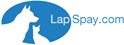 lap Spay